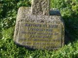 image of grave number 460781
